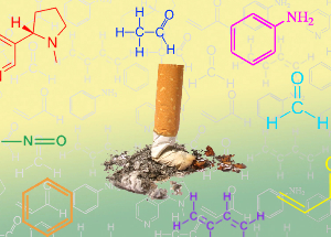 NicoZero blocking the sensitivity of the receptors to nicotine
