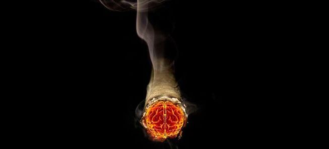 lit cigarette and the harmful effects of nicotine